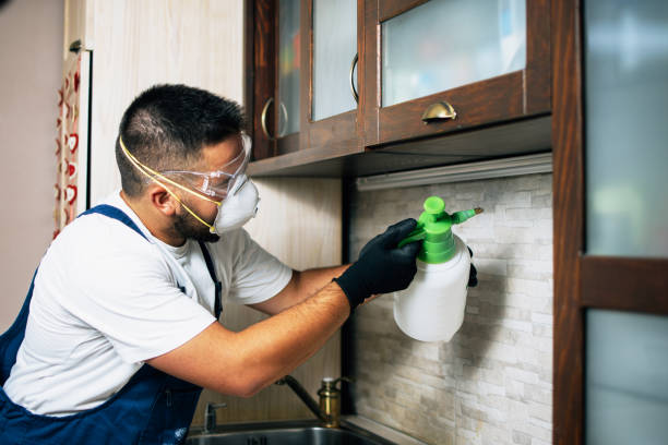 Best Best Pest Control Companies  in Faribault, MN