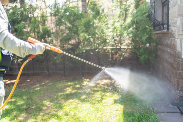 Best Wasp Removal Services  in Faribault, MN