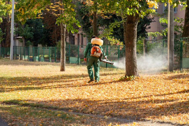 Best Flea Control Services  in Faribault, MN