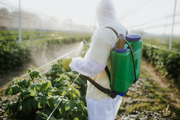 Best Residential Pest Control  in Faribault, MN